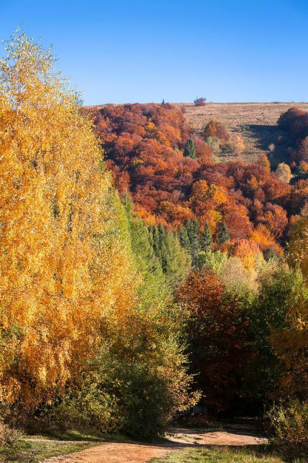 Domek Nad Sanem Загір'я Екстер'єр фото